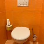 Gasthof U Splavu