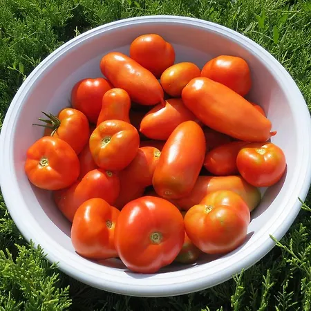 Πανσιόν U Splavu Břeclav