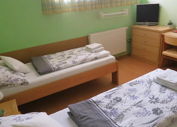 Pensionat U Splavu 3*